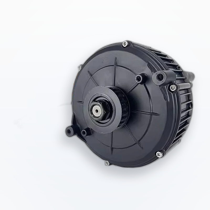 5000W, 60V, IPM PMSM, QS165, 3 - 60V 5000W Brushless Hub Motor 리뷰 및 가격