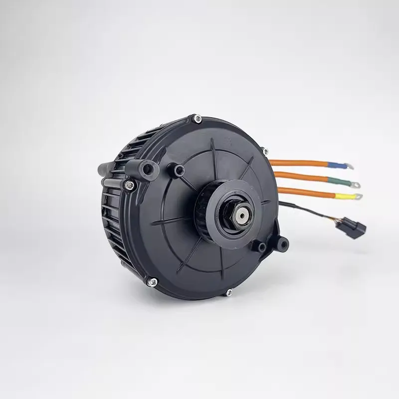 5000W, 60V, IPM PMSM, QS165, 3 - 60V 5000W Brushless Hub Motor 리뷰 및 가격