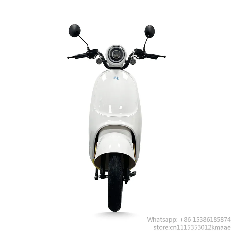 1200W, 2륜, 내구성이 뛰어난 전기 모페드 자전거 - Electric Scooter Adults 리뷰 및 가격
