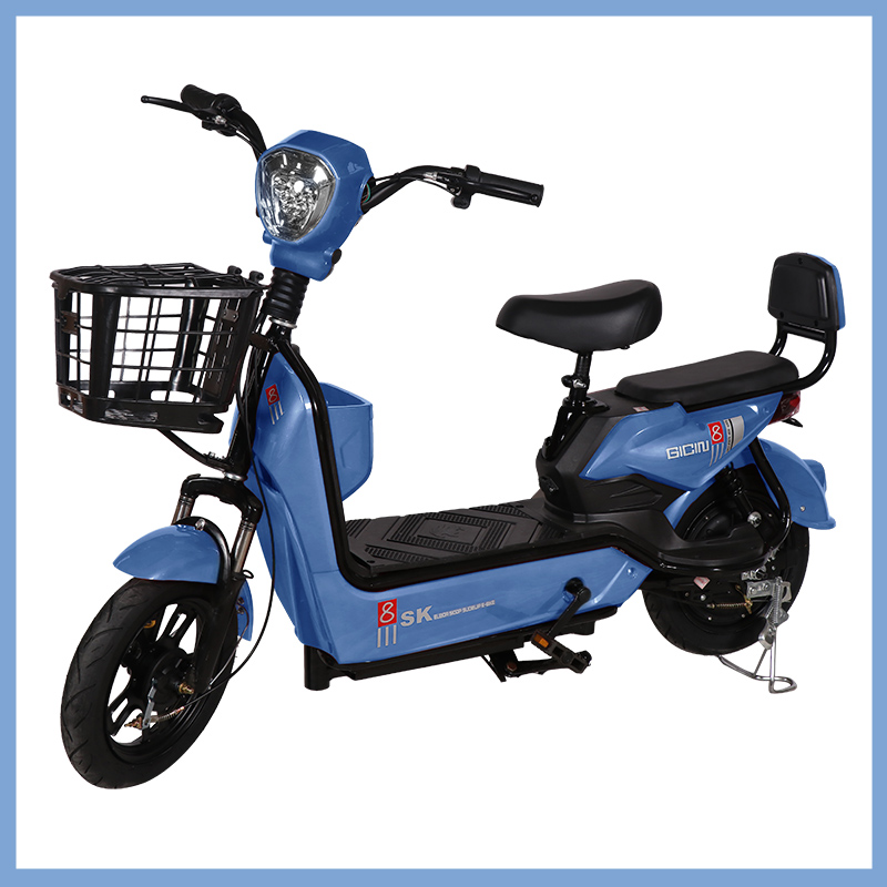 YTYIN 도매 시티 전기 자전거 다채로운 전기 자전거 - Folding Electric Scooter 리뷰 및 가격